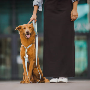 Gentle Pup - Pistachio Maxi Harness