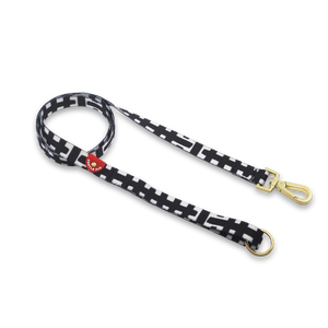 Gentle Pup - Lucky Lotto Dog Leash