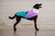 Zee.Dog Bel-Air Raincoat