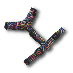 Gentle Pup - Rainbow Maze Maxi Harness