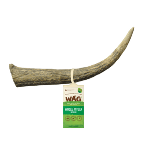 WAG Whole Deer Antler
