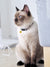 Gentle Pup - Aloha Alice Cat Collar