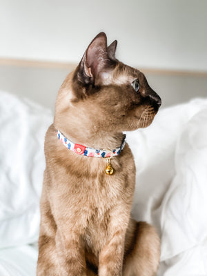 Gentle Pup - Lovely Leia Cat Collar