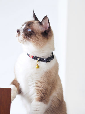 Gentle Pup - Cheeky Chip Cat Collar