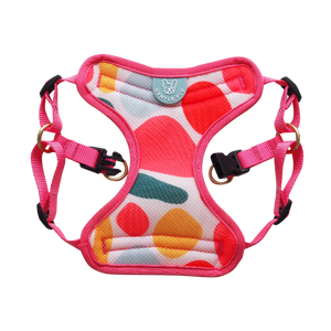 Gentle Pup - Candy Callie Easy Harness