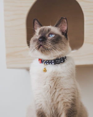 Gentle Pup - Lucky Lotto Cat Collar