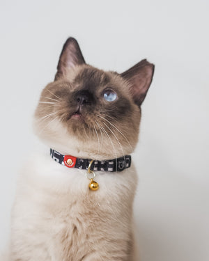 Gentle Pup - Lucky Lotto Cat Collar