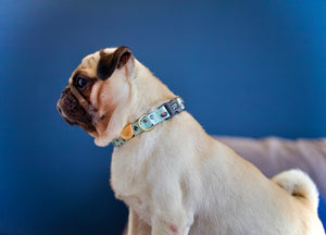 Gentle Pup - Baby BamBam Collar
