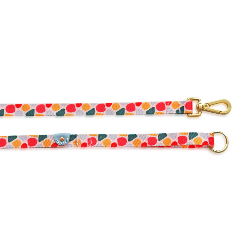 Gentle Pup - Candy Callie Leash