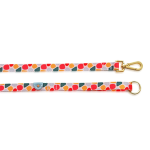 Gentle Pup - Candy Callie Leash